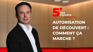 Comment marche le découvert   Le 5 des Experts  Société Générale [upl. by Brenton978]