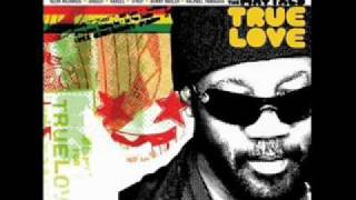 Toots amp The Maytals feat Bonnie Raitt True Love is Hard to Find [upl. by Haidabo201]