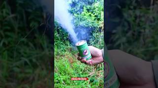 🌳🚫 Mosquito Repellent Hacl 🤯 Forest Rangers Secret Weapon Against Mosquitoes 🌟 Sulfur Smoke Bombs💡 [upl. by Chrystel700]