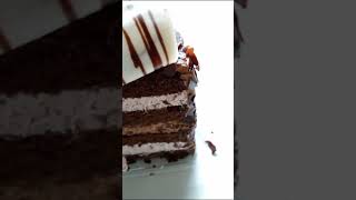 Black Forest Cake A Decadent Delight for Every Occasion [upl. by Disini513]