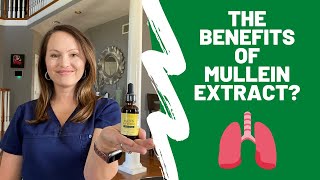 The Benefits Of Mullein Extract [upl. by Nattie686]