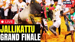 Jallikattu LIVE 2024  Madurai Jallikattu  Udhaynidhi Stalin At Allanganallur Jallikattu  N18L [upl. by Ettenot]