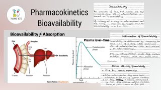 Bioavailability of Drugs Pharmacokinetics  Pharmacy Notes [upl. by Zondra85]