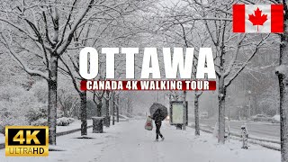 Ottawa Canada Winter Dec 2024 First Snow 4K Walking tour [upl. by Lashonde556]