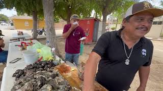 Vámonos a comer rico ostiones frescos de piedra con el gato parado [upl. by Naitsyrk]