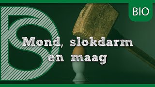 Examen biologie  Mond slokdarm en maag Stofwisseling mensen [upl. by Hercule]