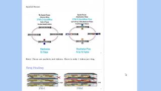 Cisco Stacking SwitchesStackWise and StackWise Plus [upl. by Shig]