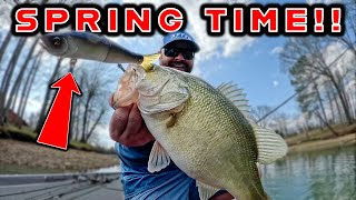 Spring Fishing Tips For Bass  Dropshot Chatterbait Glide Bait [upl. by Ecertap]