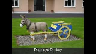 Delaneys Donkey [upl. by Knox]