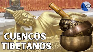 Toco CUENCOS TIBETANOS 432 Hz y paseo por templos budistas 🪷Cuencos tibetanos con agua para meditar [upl. by Annahael]