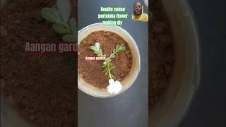 Double colour potula ka flower making diy plants grafting flowers buttonbush leafcutter diy [upl. by Agiaf]