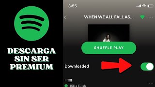 ✅ Cómo DESCARGAR Playlist en SPOTIFY sin ser Premium  Tutorial Paso a Paso [upl. by Aja]