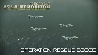 Ace Combat Assault Horizon Mission 9  Hostile Fleet  One Day One Mission [upl. by Mansoor]