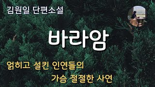 바라암김원일얽히고 설킨 인연들의 가슴 절절한 사연  1974년 현대문학상 수상작 [upl. by Gneh]