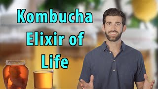 Top 5 Reasons to Drink Kombucha Everyday [upl. by Minsk]