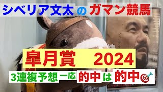 シベリア文太「ガマン競馬」第172弾【皐月賞】20240414 [upl. by Diet658]