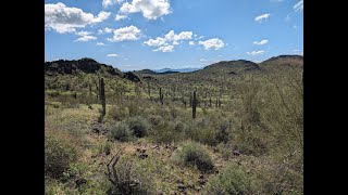 2024 Tucson trip Picacho Peak Gem show Ostrich ranch [upl. by Susana282]