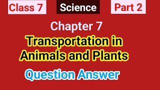 Class 7  Science  Part 2  Transportation in Animals and Plants QuestionandAnswer [upl. by Lady190]