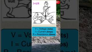 Difference between voltage and current facts electricalengineering shorts voltage vs current [upl. by Fuhrman507]