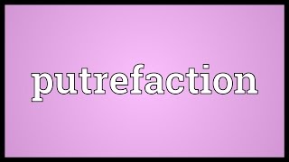 Putrefaction Meaning [upl. by Quiteris]