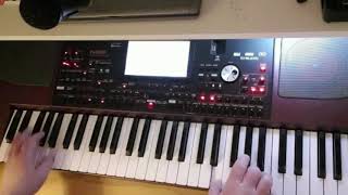 Korg Pa 1000  Barcelona z rep Pectus Cover by Rafix82 [upl. by Ynos]