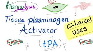 Tissue Plasminogen Activator tPA  Uses  Hematology  Pharmacology [upl. by Ydahs306]