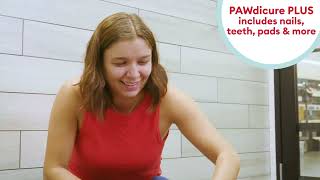 How to Brush Dog Teeth  PetSmart Presents doggroomingtips [upl. by Clere976]