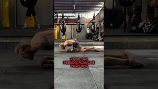 Planche Push Up Progression [upl. by Sheff]