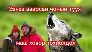 Эзнээ аварсан чонын түүх Гоё Түүхүүд Goy tuuhuud mongol heleer kino duu barimtat kino 2024 [upl. by Jenei]