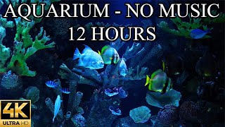 AQUARIUM 4K Coral Reef 4K Aquarium No Music No Ads  12 Hours  Aquarium Sounds For Sleeping [upl. by Hardner161]