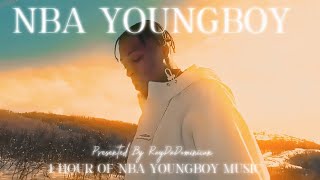 1 Hour Of NBA Youngboy Music  Get To Know Youngboy’s Music  2024 NBA Youngboy Mix 💚🐍 [upl. by Aronek793]