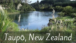 The Town Built on New Zealands Largest Lake amp Volcano  Taupo [upl. by Vogele962]