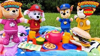 Video de aprendizaje para niños  ¡Picnic de la Paw Patrol [upl. by Neih]