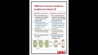 Difference between cytokinesis in plant and animal cell [upl. by Jala]