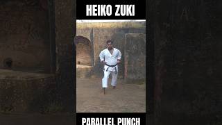 HEIKO ZUKI  PARALLEL PUNCH  SHOTOKAN KARATE 🥋 heikozuki karate karatepunch [upl. by Kilroy]