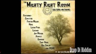 The Mighty Right Riddim Mix Full Perfect Lutan Fyah Capleton Luciano Hero x Drop Di Riddim [upl. by Lydia860]