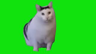 Cat Saying Huh Meme Green Screen Template [upl. by Socrates191]