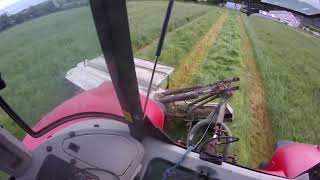 Mowing Silage  Massey 6465 [upl. by Yrehc]