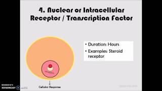 Pharmacodynamics Part 1  Receptors [upl. by Tsiuqram]