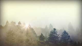 Trees and Fog Church Motion Graphic  Sharefaithcom [upl. by Aztirak344]