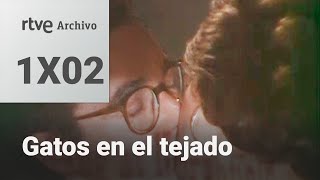 Gatos en el tejado Capítulo 2 Palos y astillas  RTVE Archivo [upl. by Ettenad]