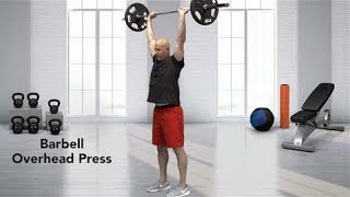 How to do a Barbell Overhead Press [upl. by Ahsienaj]