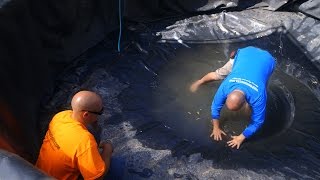 Pond Liner Installation  Part 29 [upl. by Einahpets]