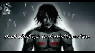 Shadowlord  EPIC ORCHESTRAL COVERMIX Nier Replicant Spoilers [upl. by Amikay113]