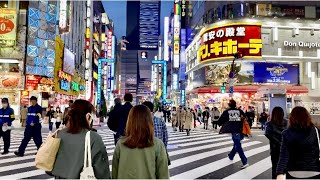 Tokyo Walk 247  JAPAN 4K [upl. by Eelame252]