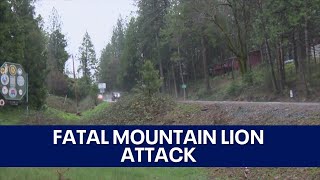 Mountain lion attack kills 1 man [upl. by Dorcea]