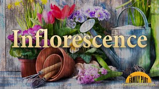 Inflorescence – Garden Glossary [upl. by Filide970]