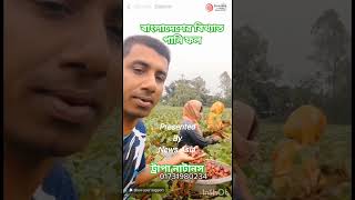 পানি ফল বা সিঙ্গারা ফল ।। Trapa natans [upl. by Ahseihs]