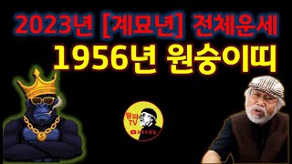 1956년생 원숭이띠 2023년 총운세 원숭이띠운세 2023년운세 계묘년운세2023년원숭이띠운세 삼재띠 띠운세 계묘년운세 1956년생원숭이띠 [upl. by Lasley]