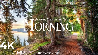 Morning Nature  Relaxation Film  Peaceful Relaxing Music  4k Video UltraHD [upl. by Calbert935]